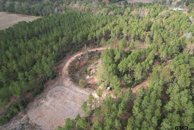 a view of a field with an trees