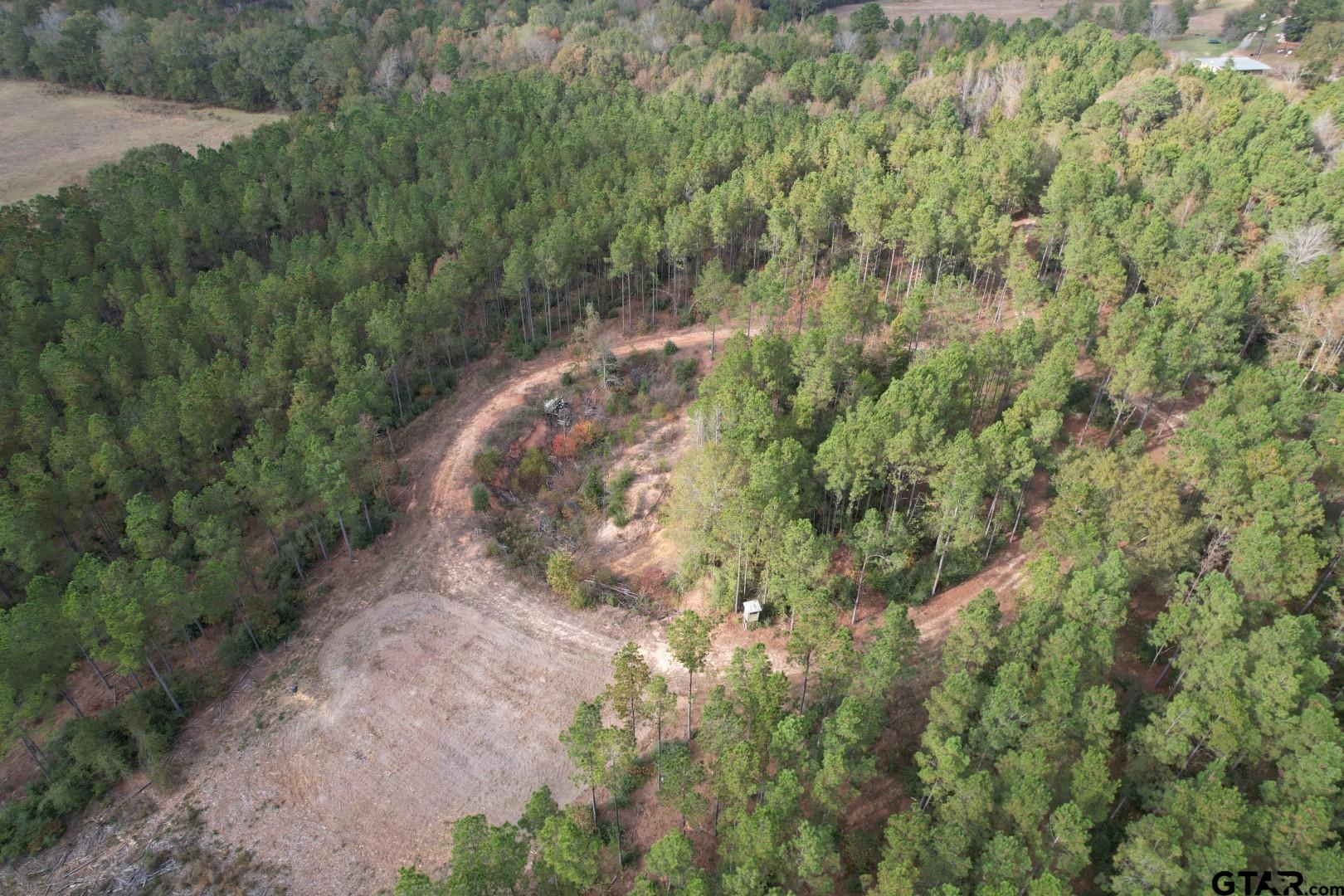 1271 County Road 3685 Joaquin, TX 75954 - Photo 23 of 46 a view of a pathway both side of yard