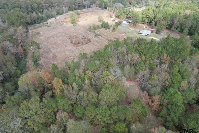 a view of a dry yard with lots of bushes