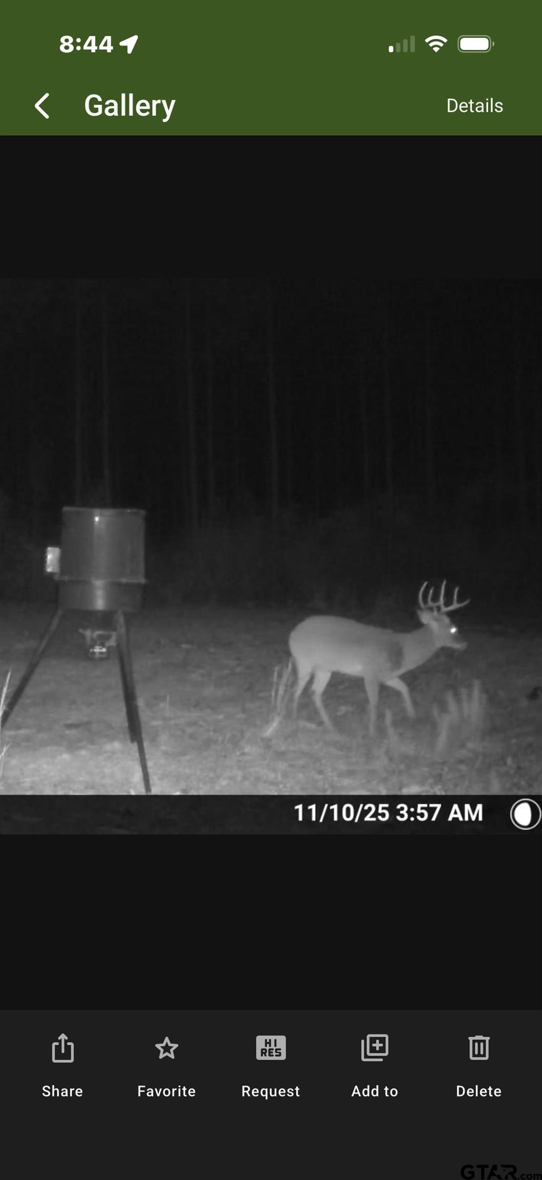 1271 County Road 3685 Joaquin, TX 75954 - Photo 32 of 46 a picture of a counter top
