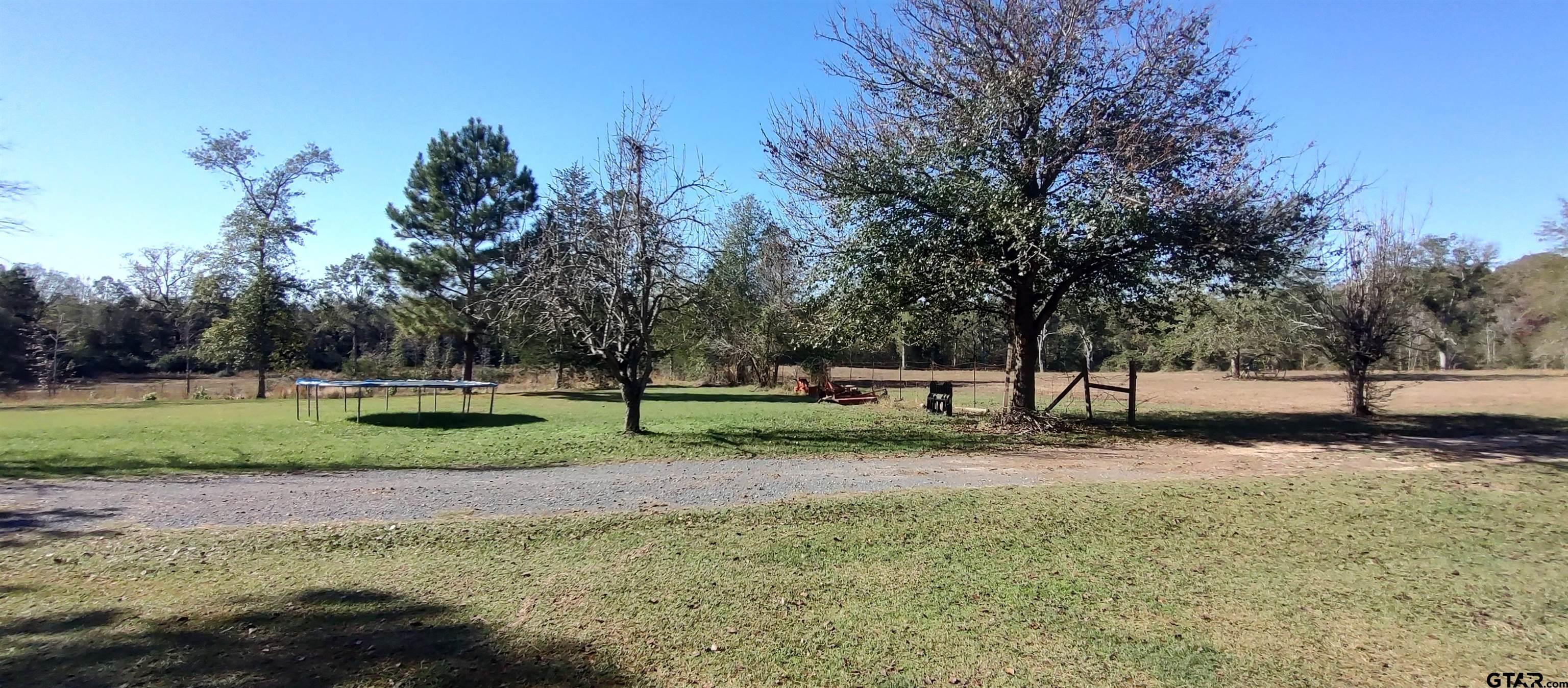 1271 County Road 3685 Joaquin, TX 75954 - Photo 45 of 46 a view of a yard with tree s