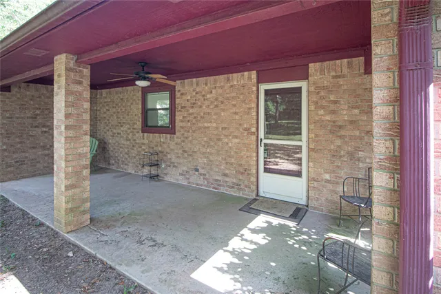 a view of a tree in a yard