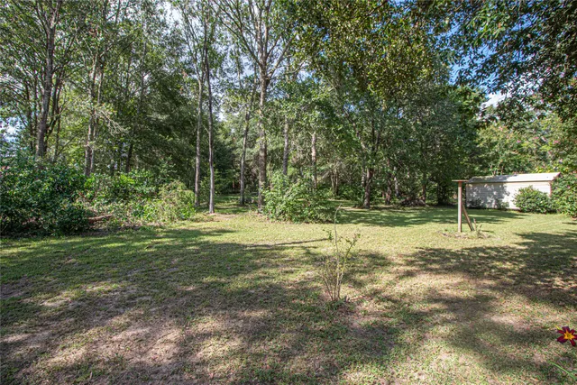 a view of a park with trees in the background