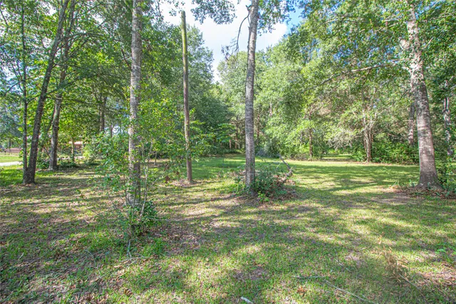 a view of a yard with a tree