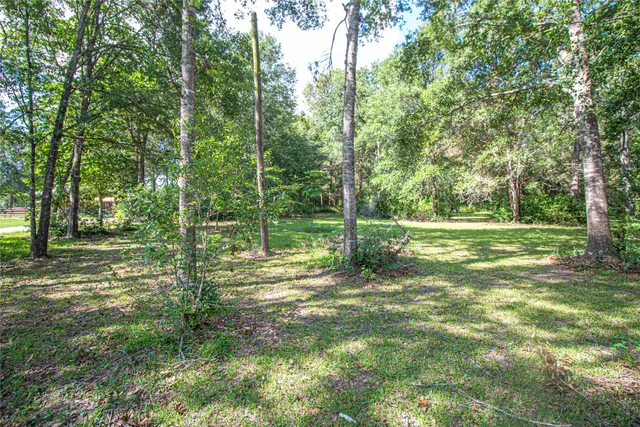 a view of park with trees