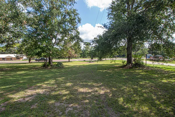 a view of field with trees