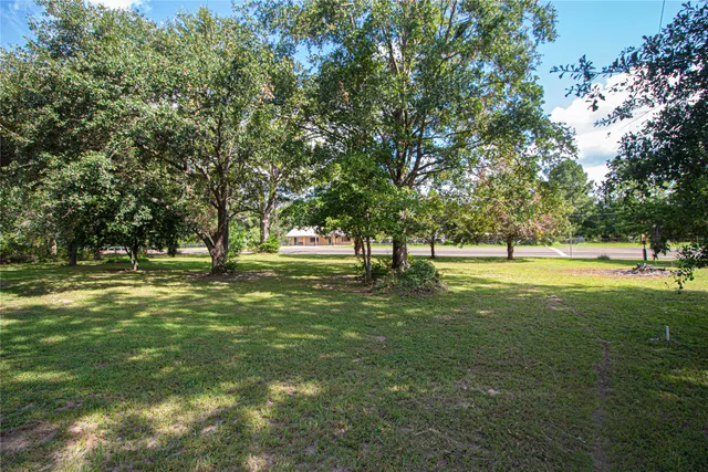 a view of a trees with a yard