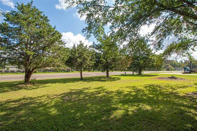 a view of a trees with a yard