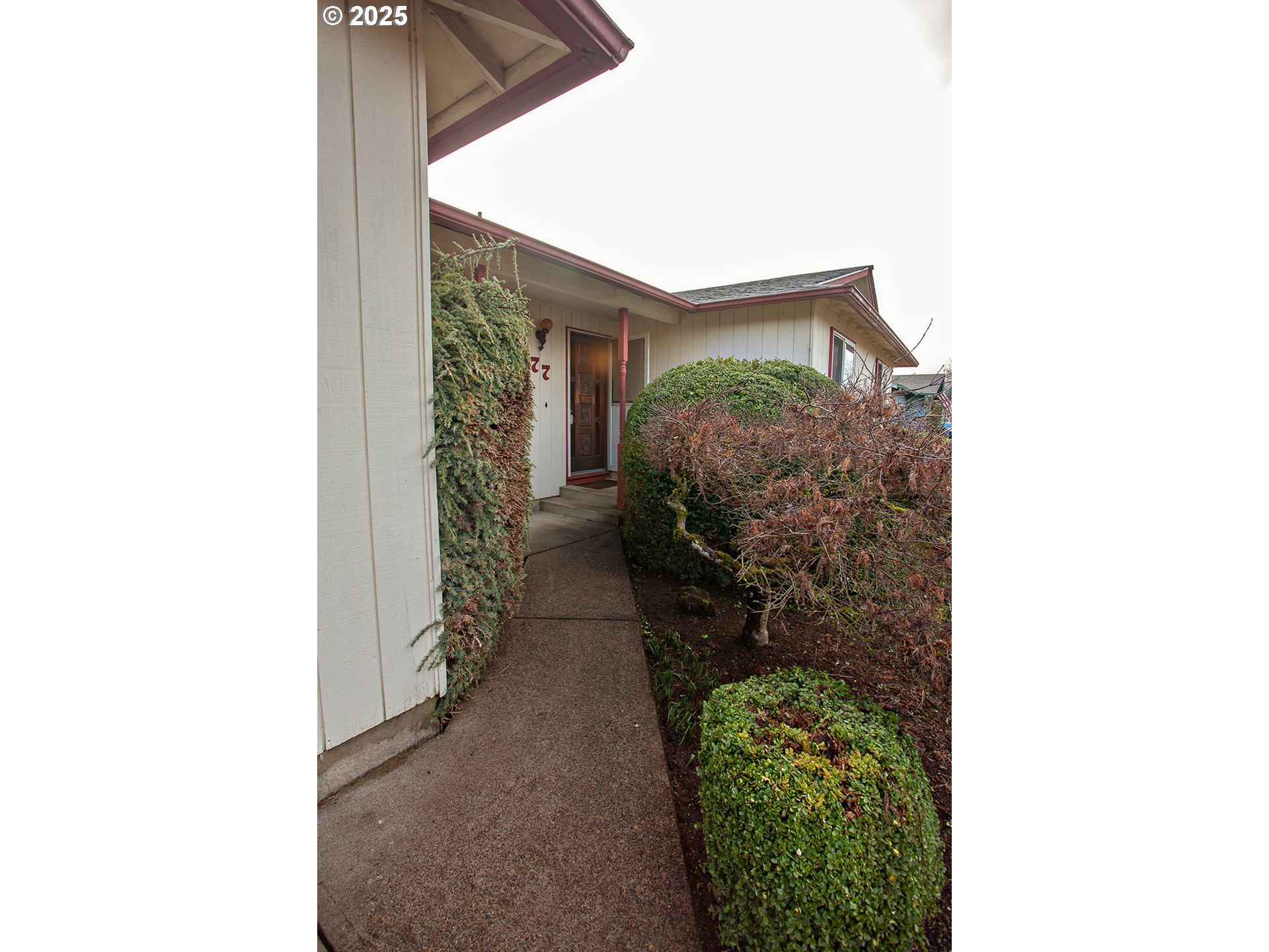 677 Laksonen Loop Springfield, OR 97478 - Photo 2 of 22 a backyard of a house with lots of green space