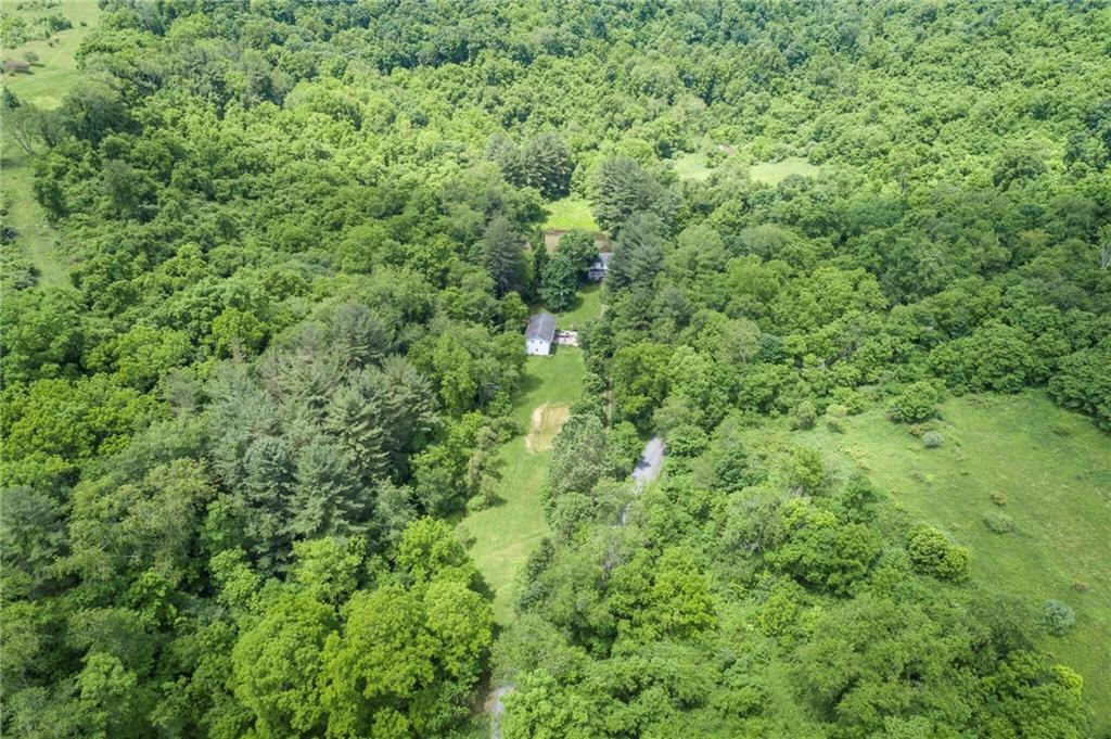 13 Penn Hill Road Prosperity, PA 15329 - Photo 7 of 30 a view of a lush green forest