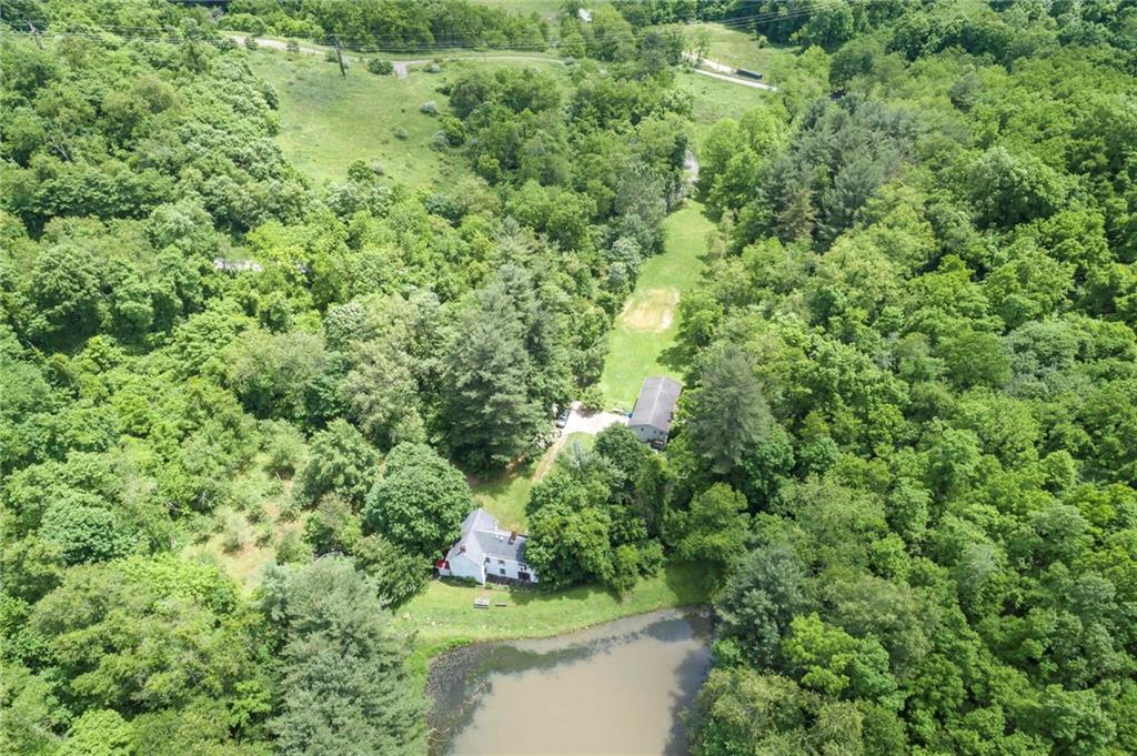 13 Penn Hill Road Prosperity, PA 15329 - Photo 8 of 30 a view of a lush green forest with lots of trees