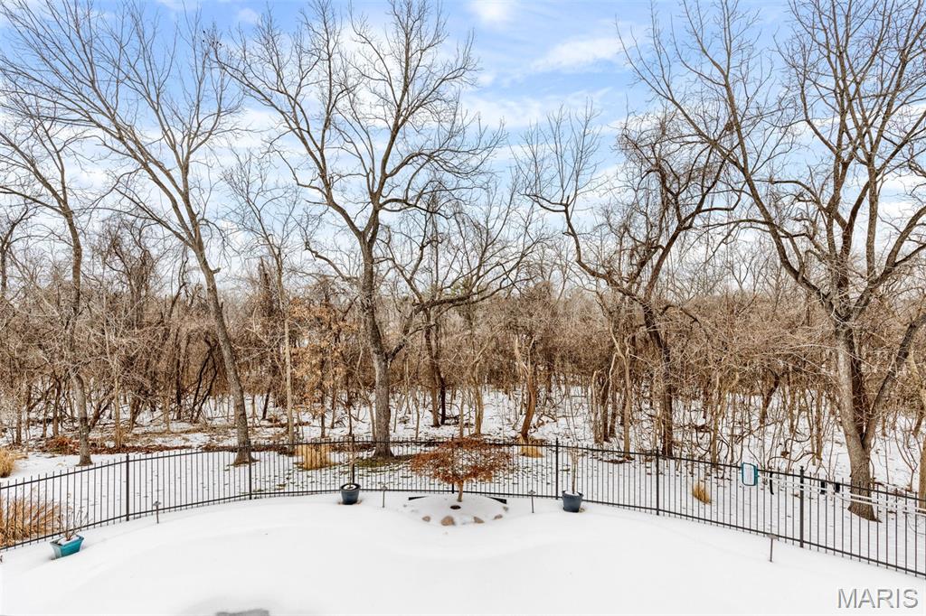 1040 Greystone Manor Parkway Chesterfield, MO 63005 - Photo 75 of 79