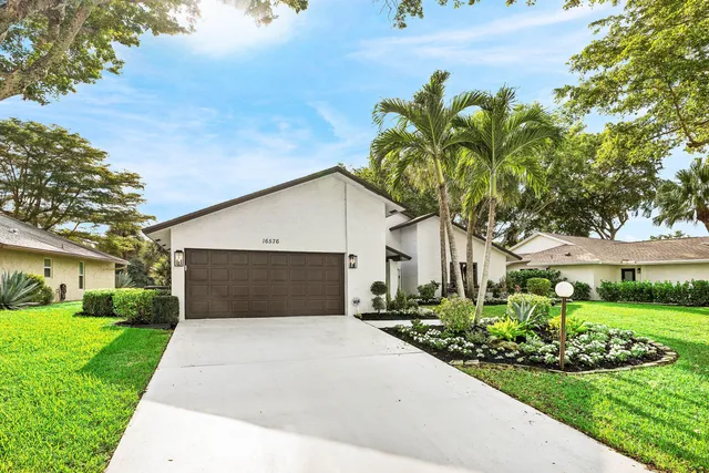 a view of a field with a tree in it