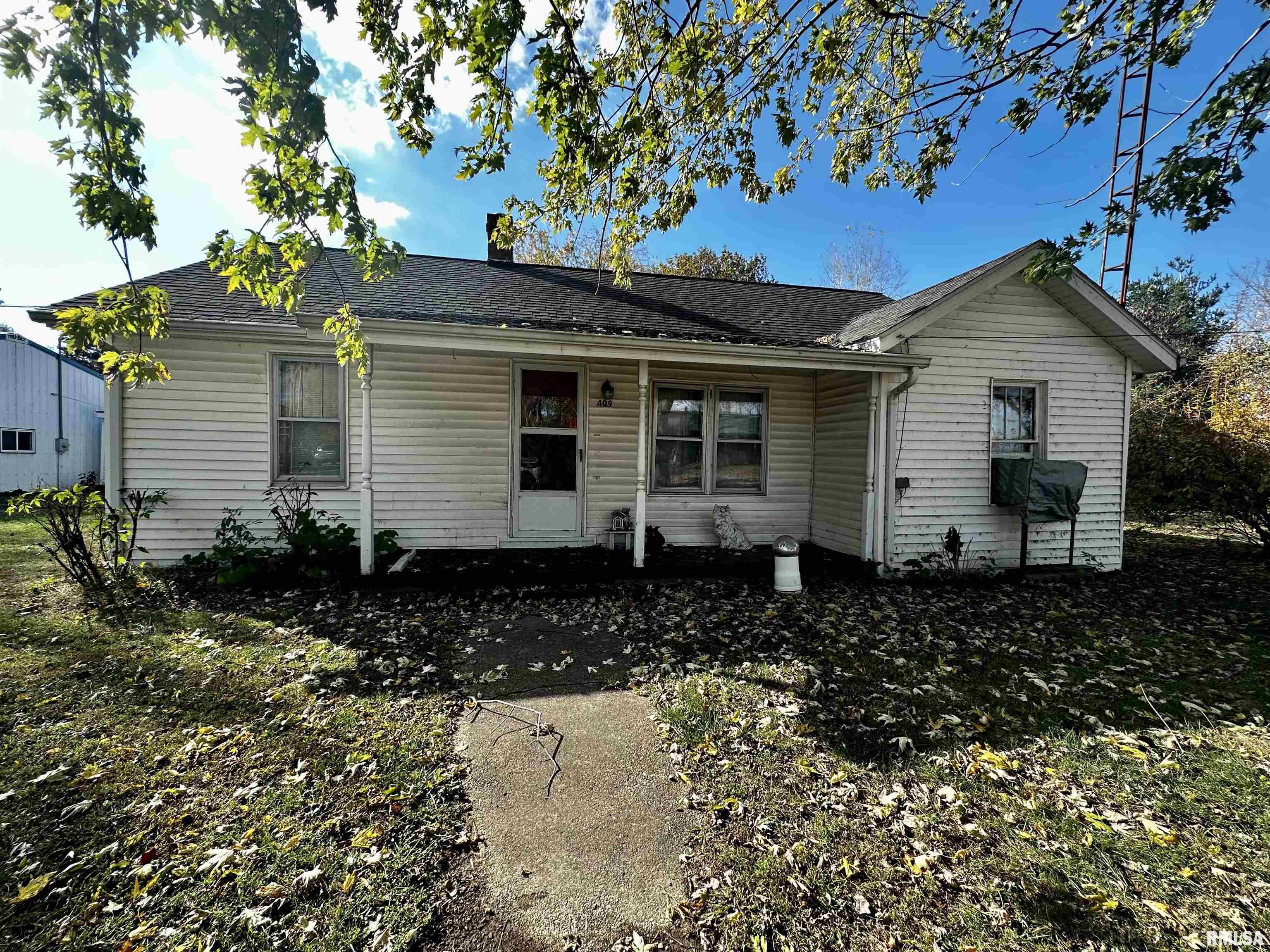 409 South 2nd Street Ridgway, IL 62979 - Photo 3 of 11
