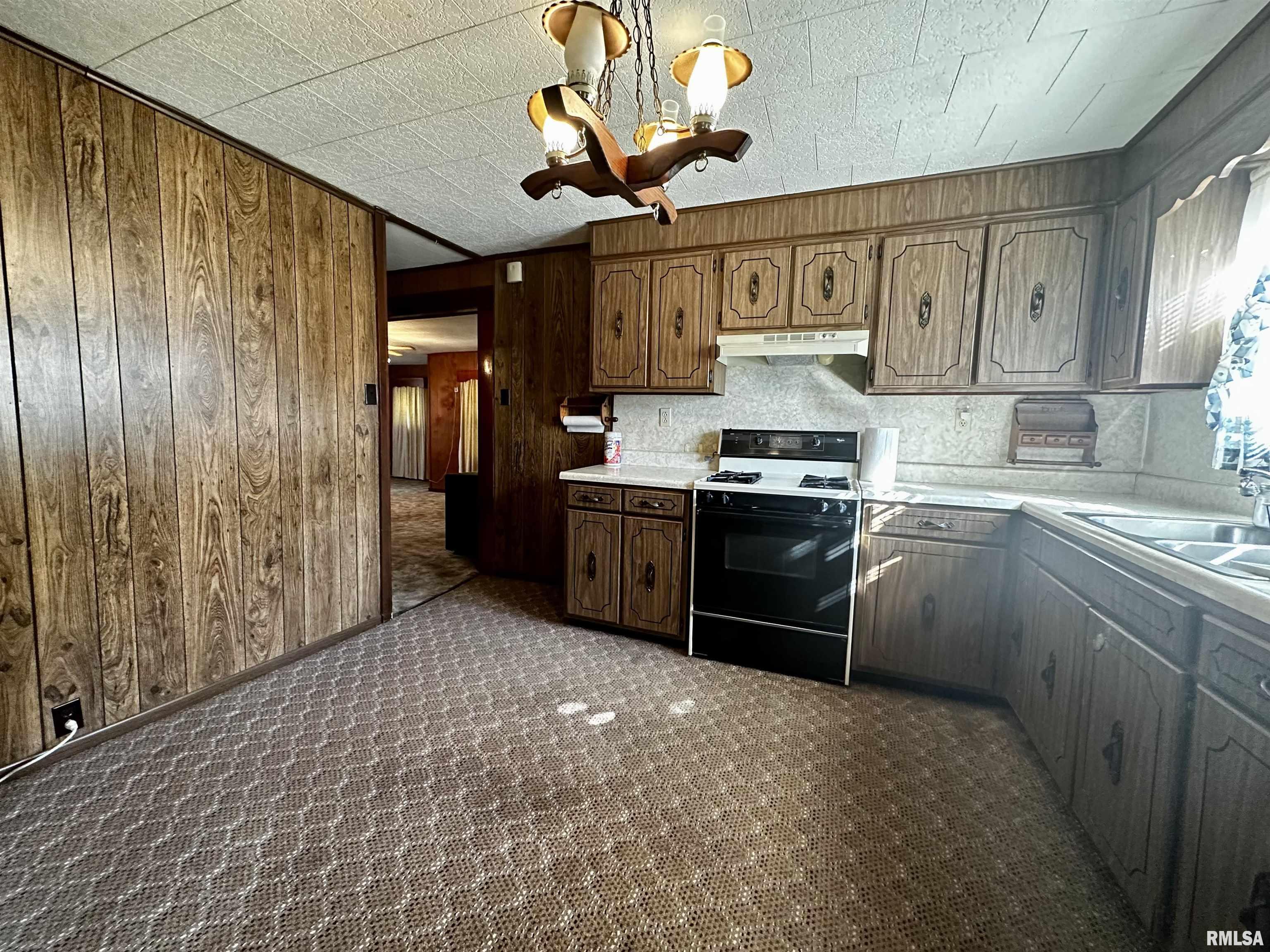 409 South 2nd Street Ridgway, IL 62979 - Photo 5 of 11