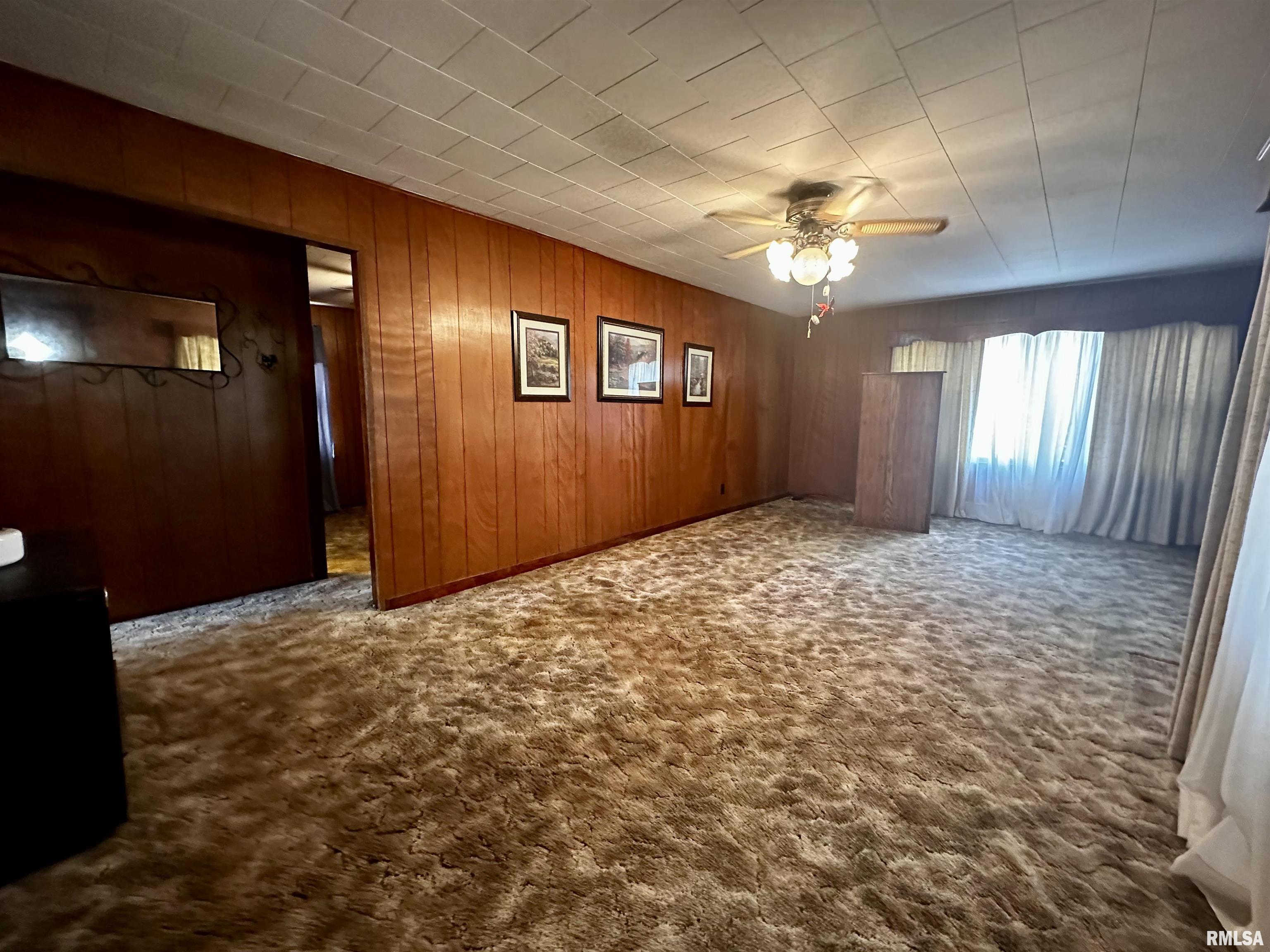 409 South 2nd Street Ridgway, IL 62979 - Photo 6 of 11