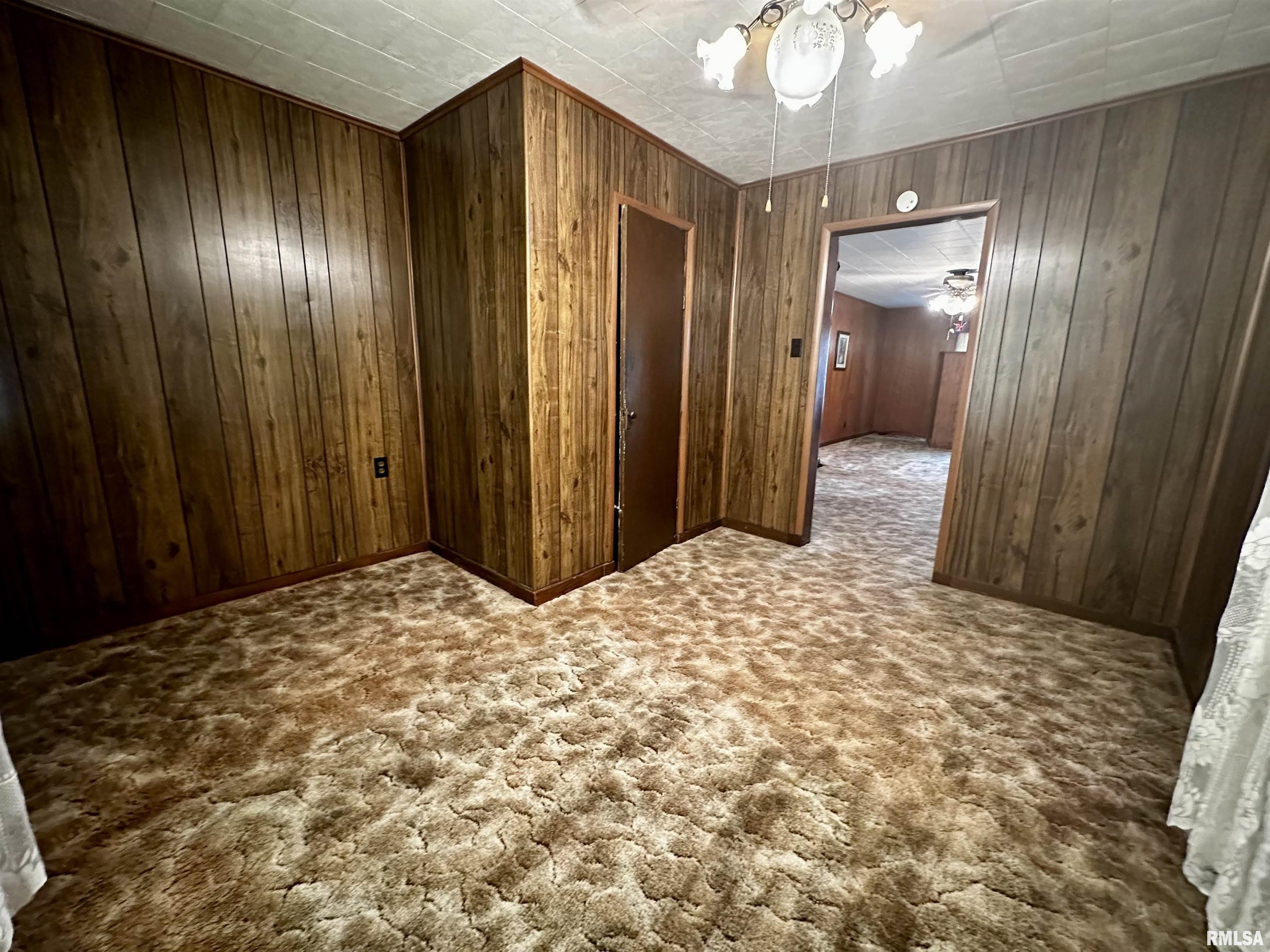 409 South 2nd Street Ridgway, IL 62979 - Photo 8 of 11