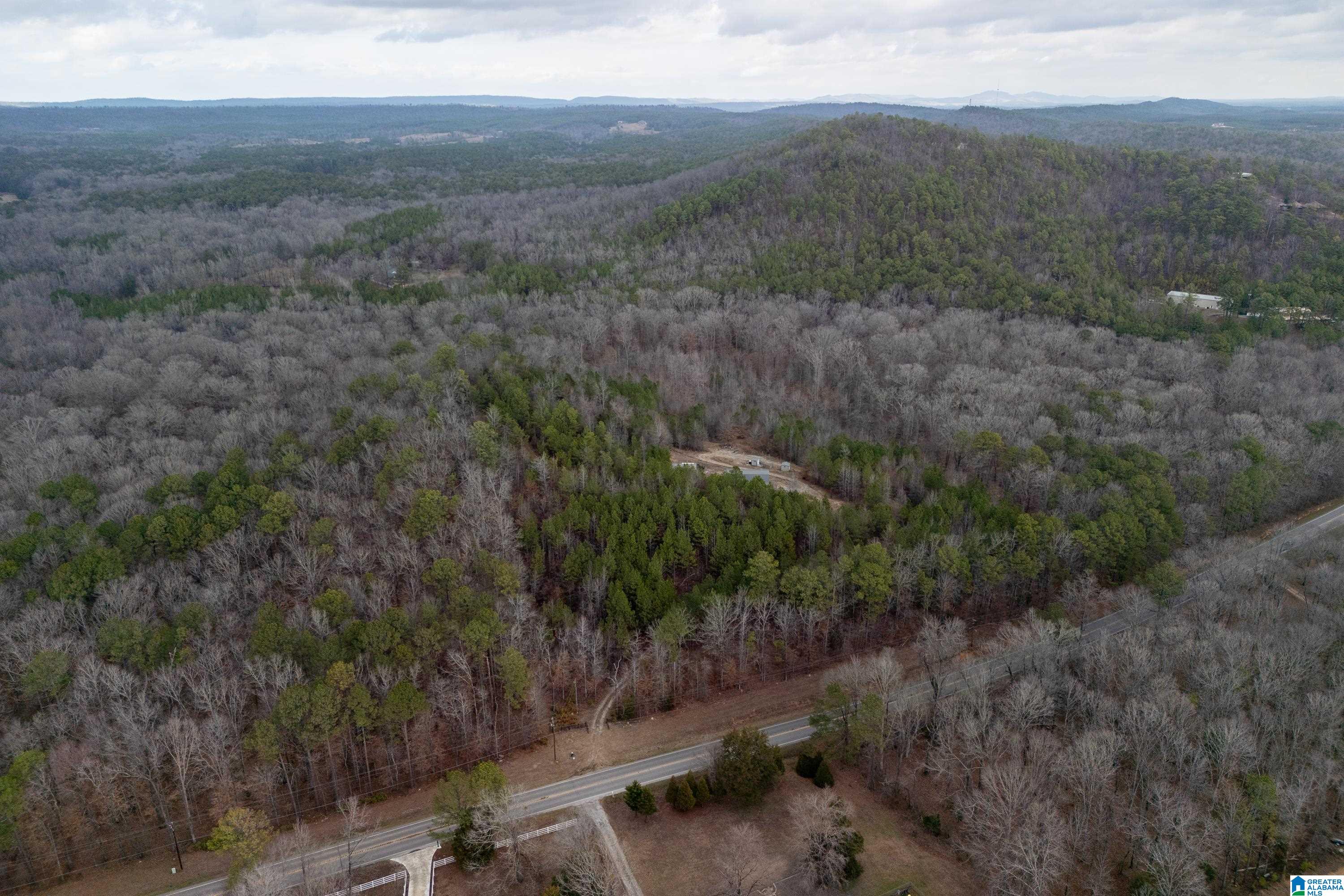 2885 Highway 26 Alabaster Al Alabaster, AL 35007 - Photo 40 of 43