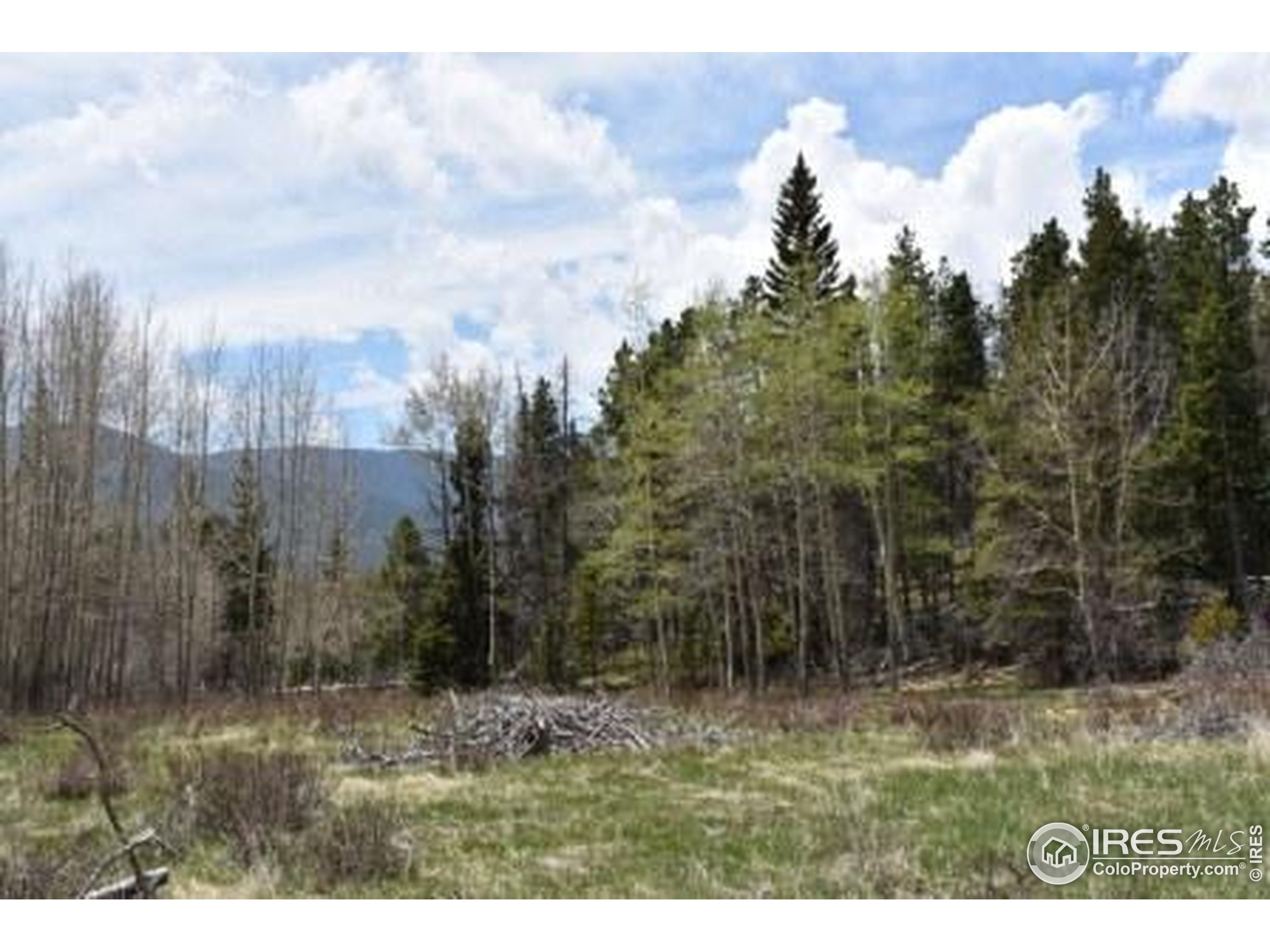 1256 Basking Dog Road Bellvue, CO 80512 - Photo 13 of 29