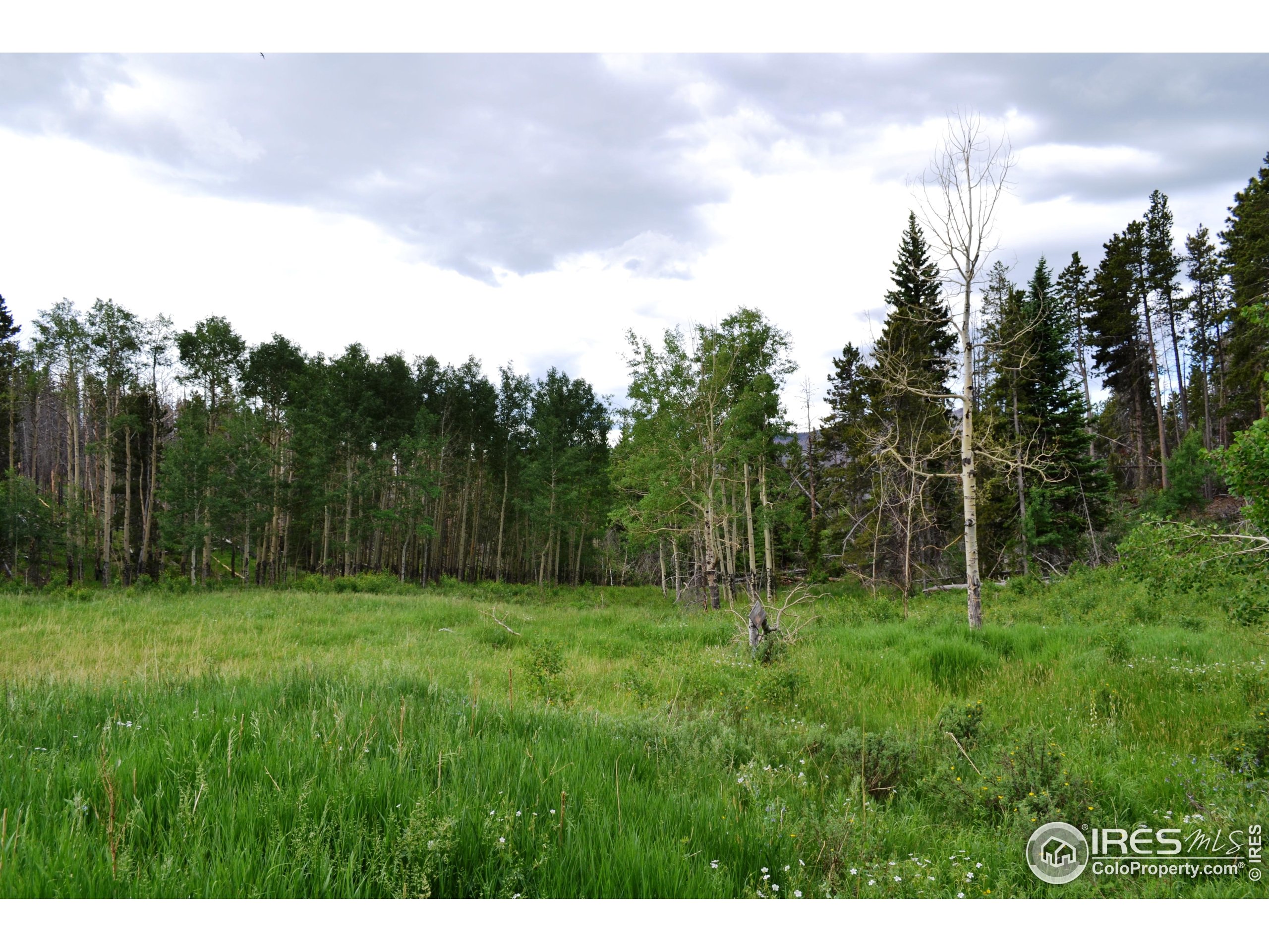 1256 Basking Dog Road Bellvue, CO 80512 - Photo 16 of 29