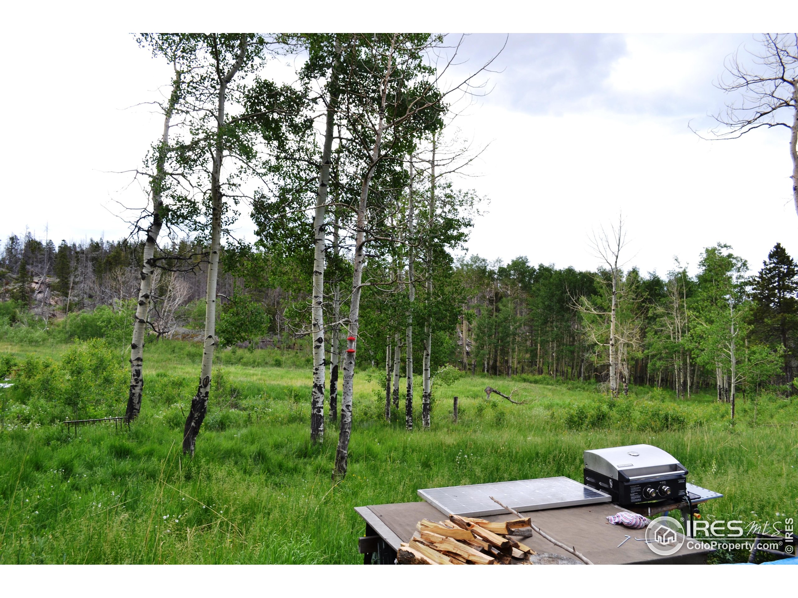 1256 Basking Dog Road Bellvue, CO 80512 - Photo 17 of 29