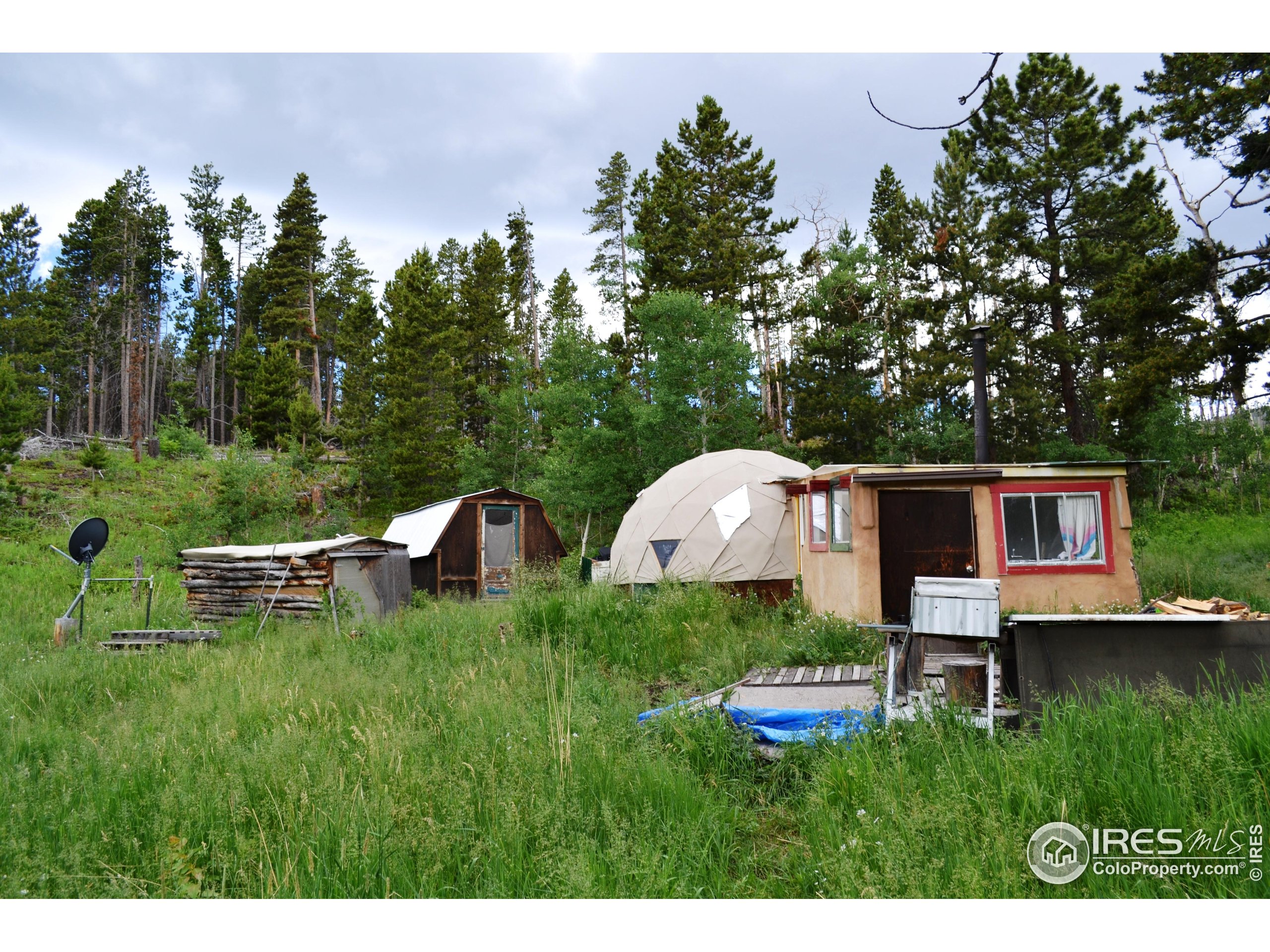 1256 Basking Dog Road Bellvue, CO 80512 - Photo 18 of 29