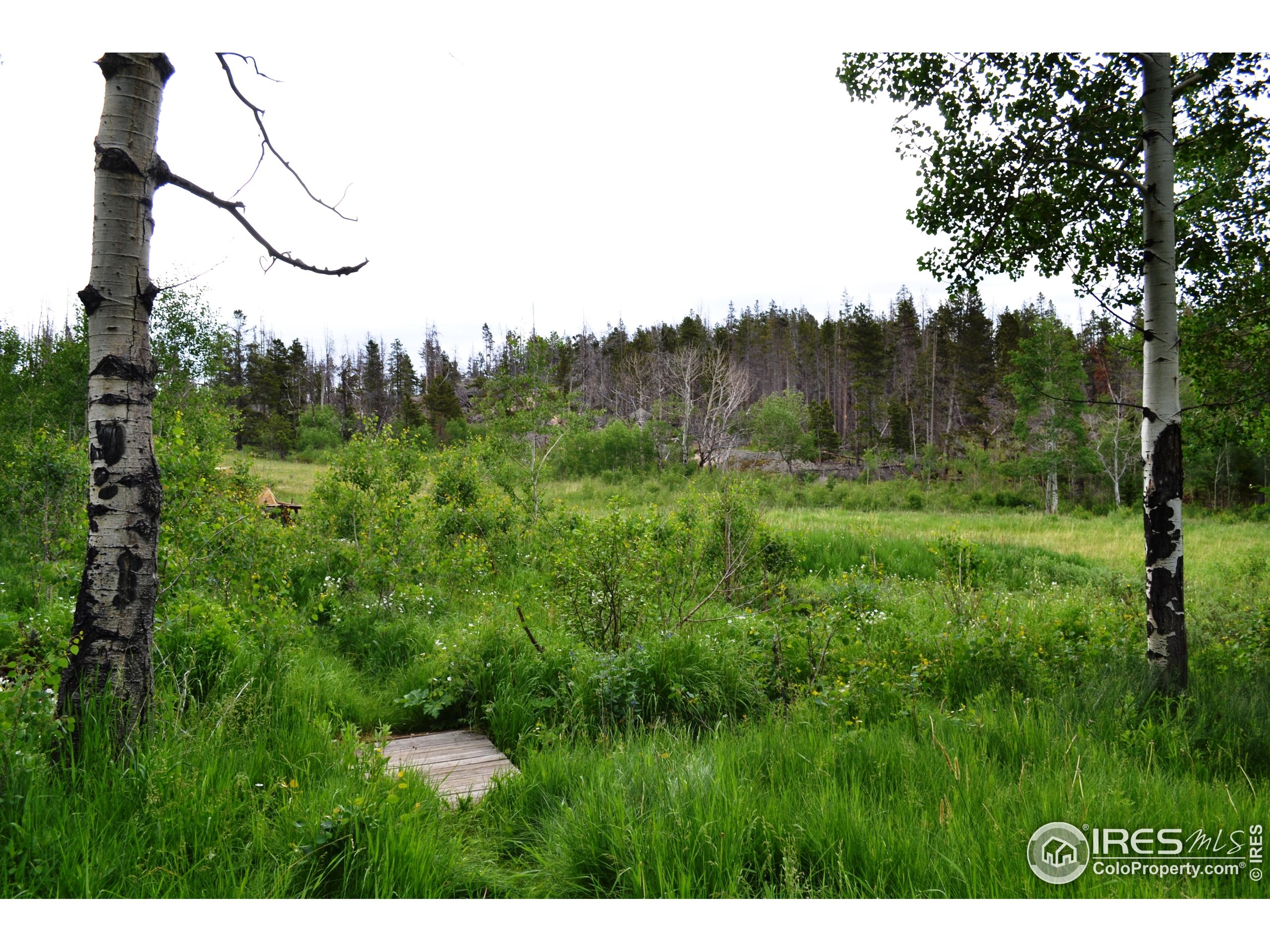 1256 Basking Dog Road Bellvue, CO 80512 - Photo 19 of 29