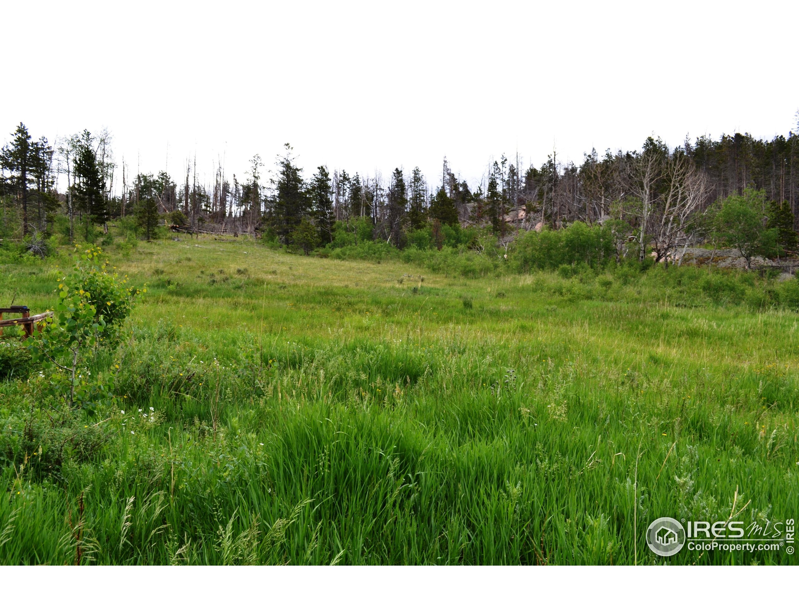 1256 Basking Dog Road Bellvue, CO 80512 - Photo 20 of 29