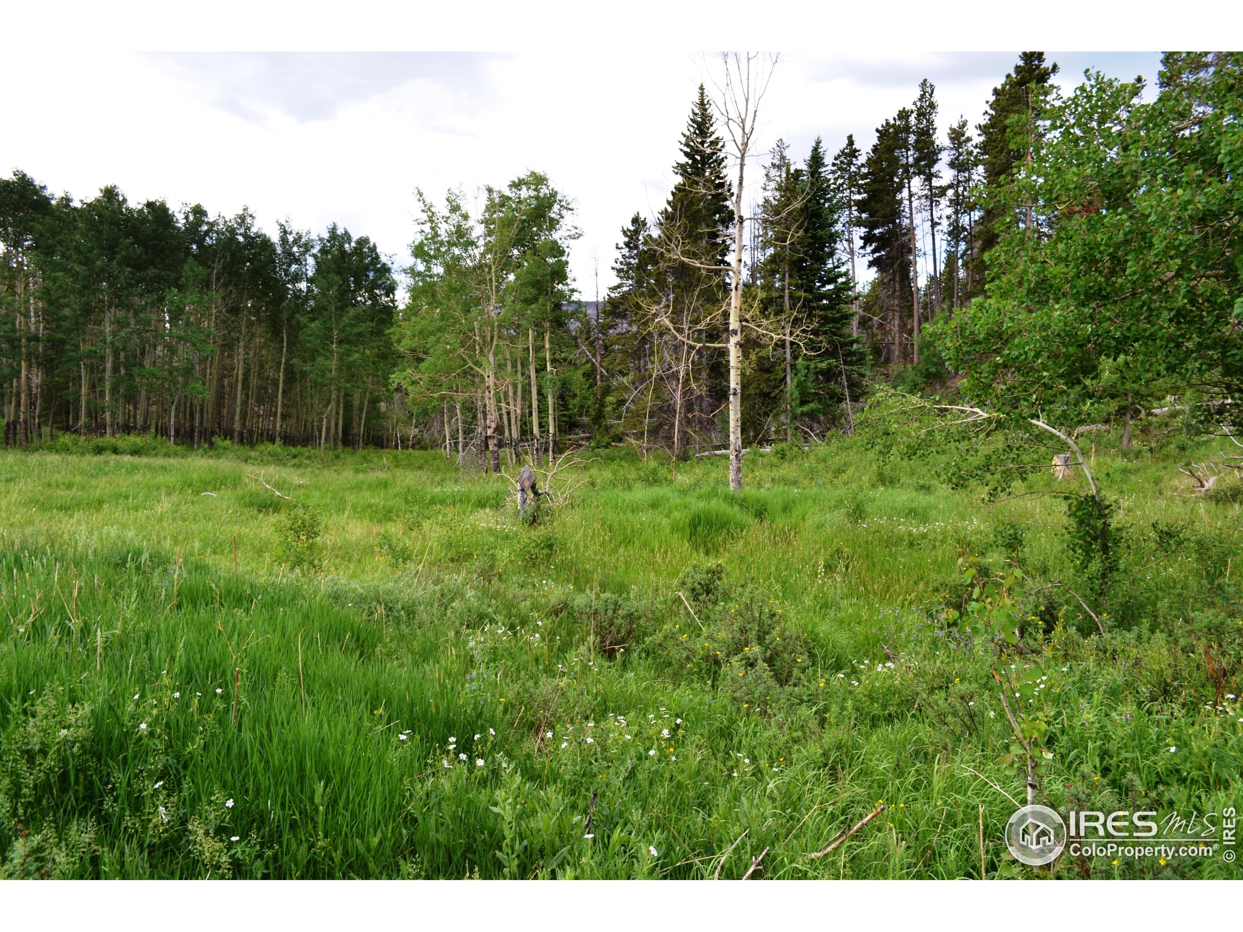 1256 Basking Dog Road Bellvue, CO 80512 - Photo 2 of 29