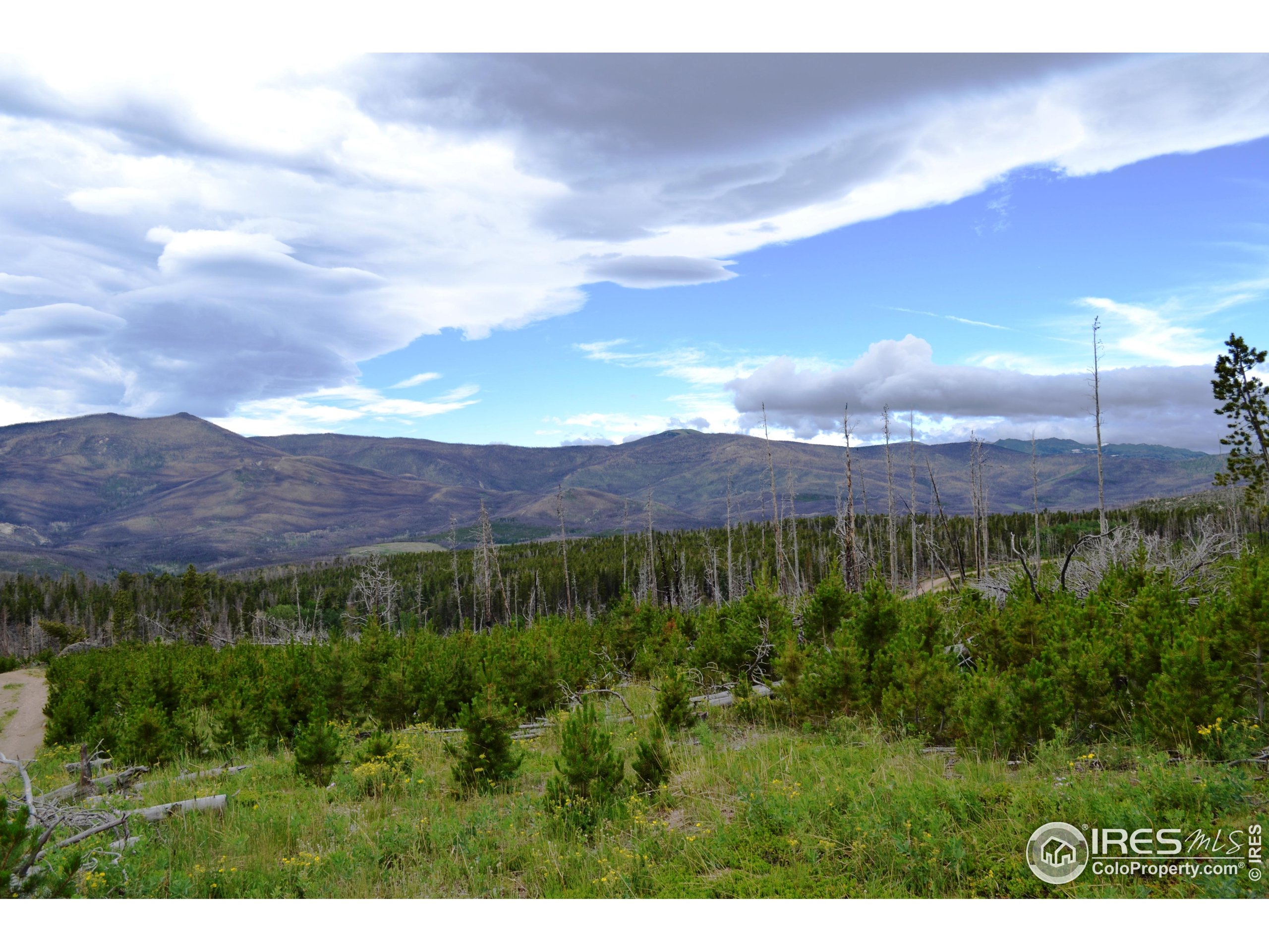 1256 Basking Dog Road Bellvue, CO 80512 - Photo 26 of 29