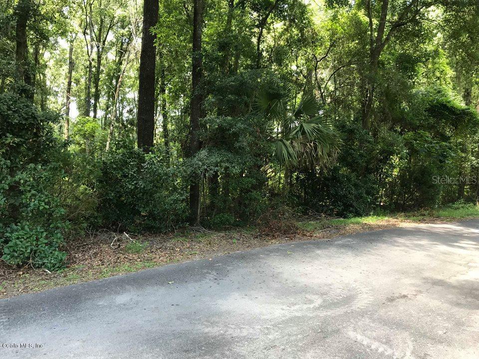 Tbd Northwest 17th Court Road Ocala, FL 34475 - Photo 1 of 1 a view of a dirt road with trees in the background