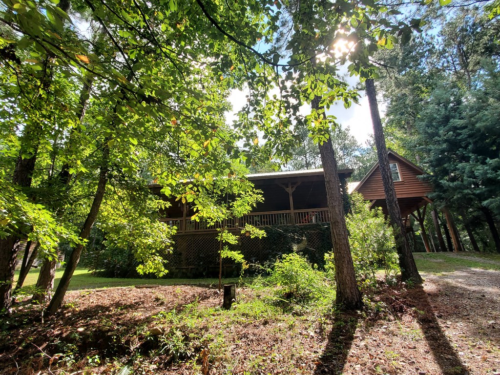 925 Morgan Copeland Road Hamilton, GA 31811 - Photo 45 of 48 Gallery Image 45