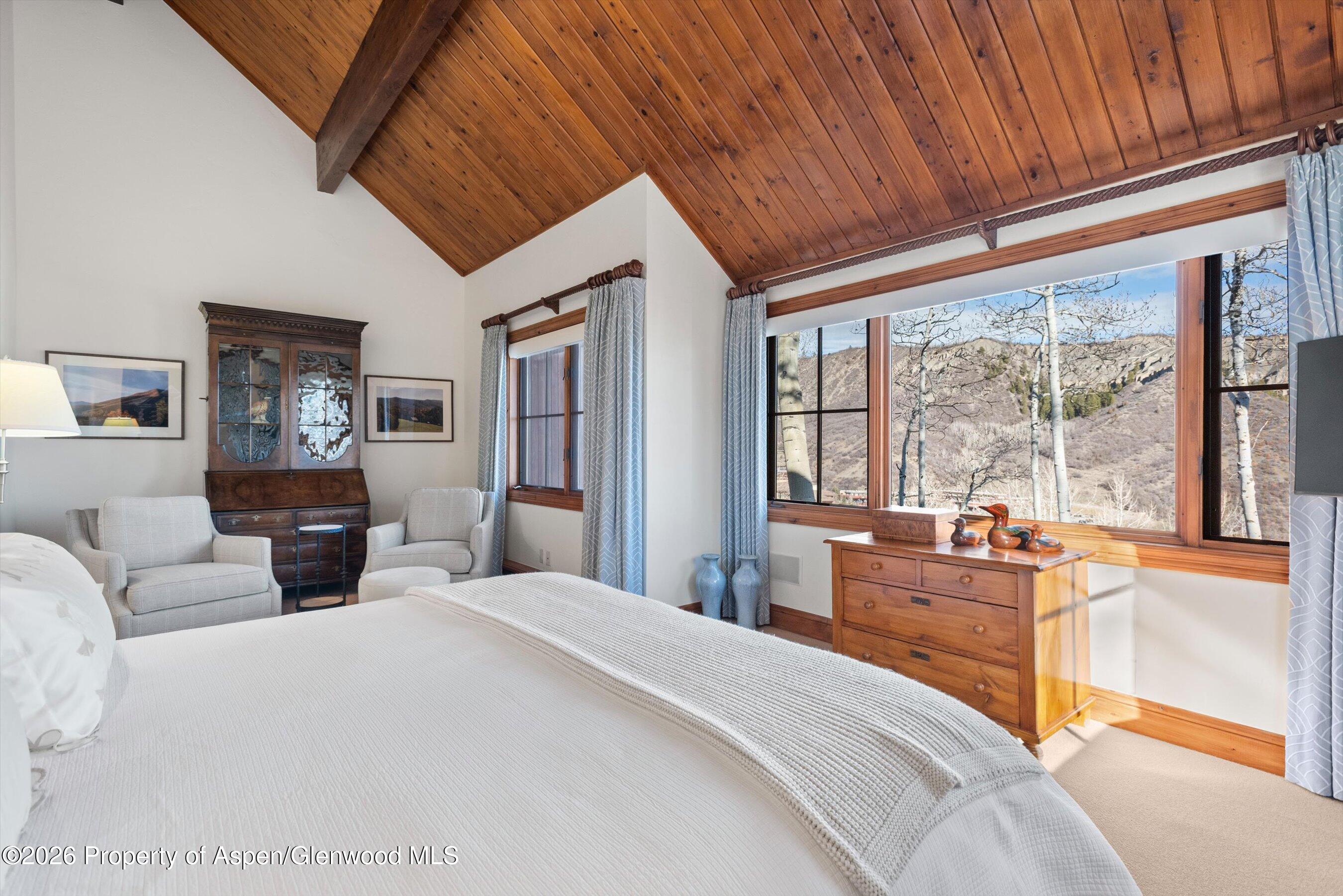 364 Ridge Road Snowmass Village, CO 81615 - Photo 18 of 57 20-364RidgeRd_03172026_041