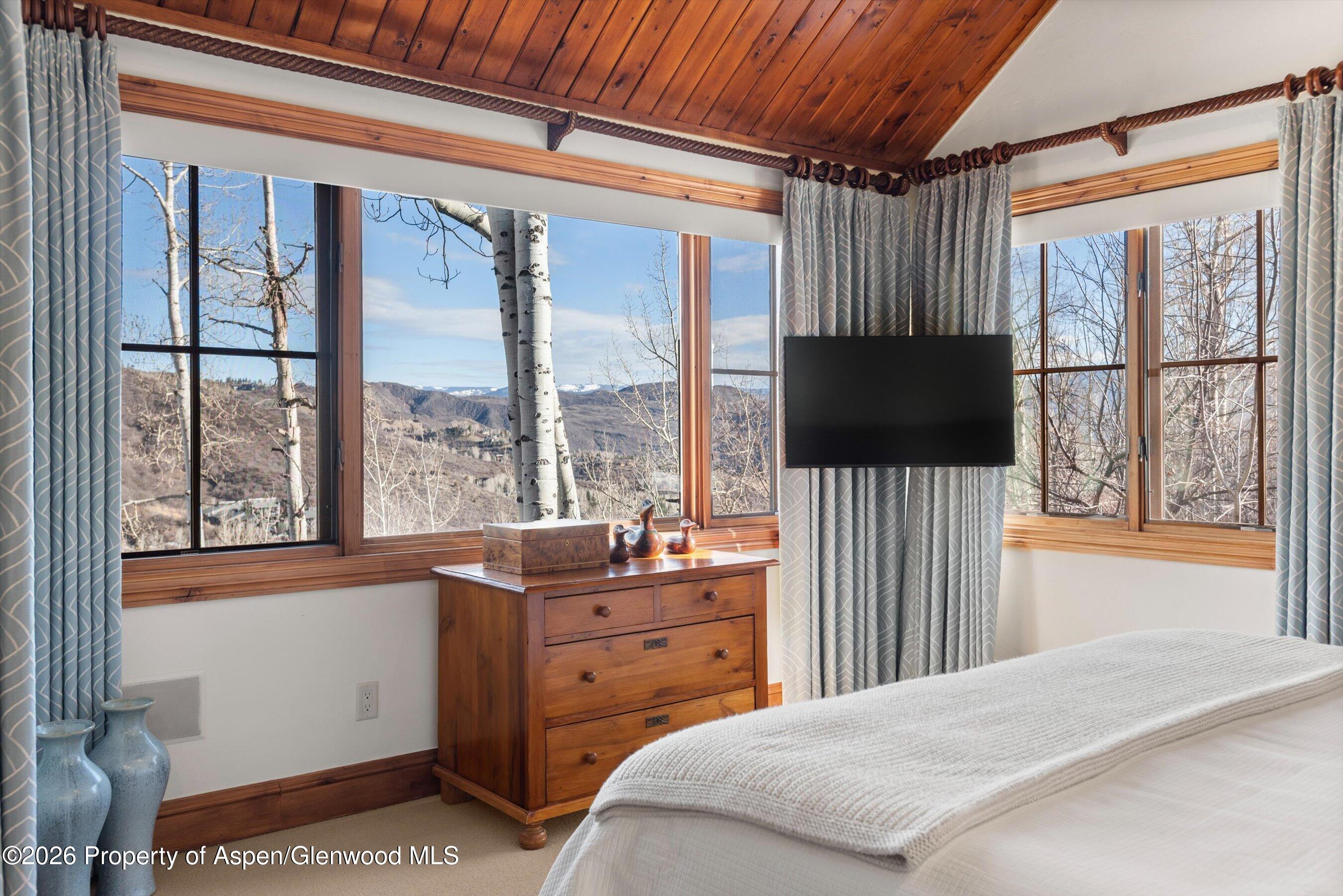 364 Ridge Road Snowmass Village, CO 81615 - Photo 20 of 57 22-364RidgeRd_03172026_043