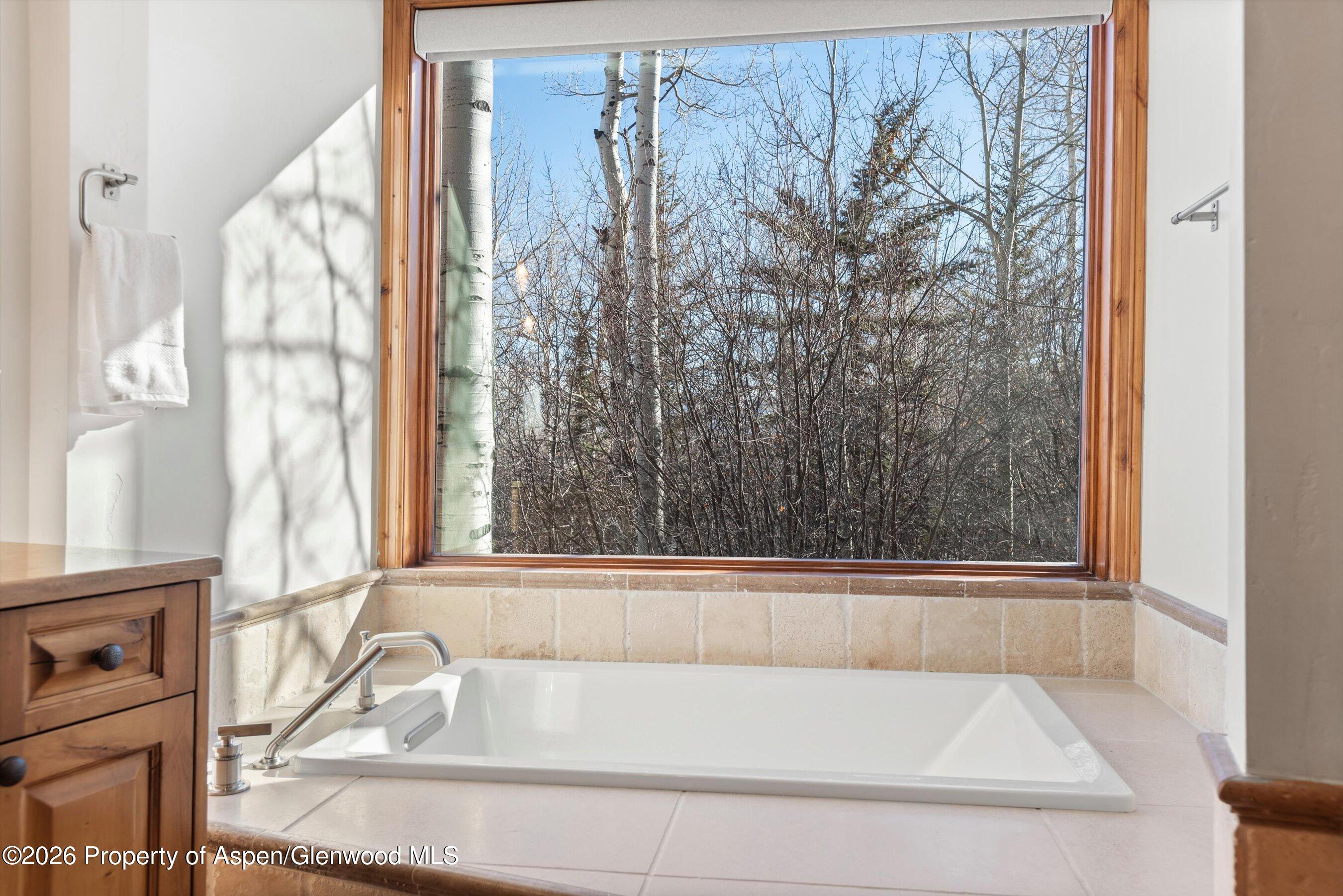 364 Ridge Road Snowmass Village, CO 81615 - Photo 22 of 57 24-364RidgeRd_03172026_045