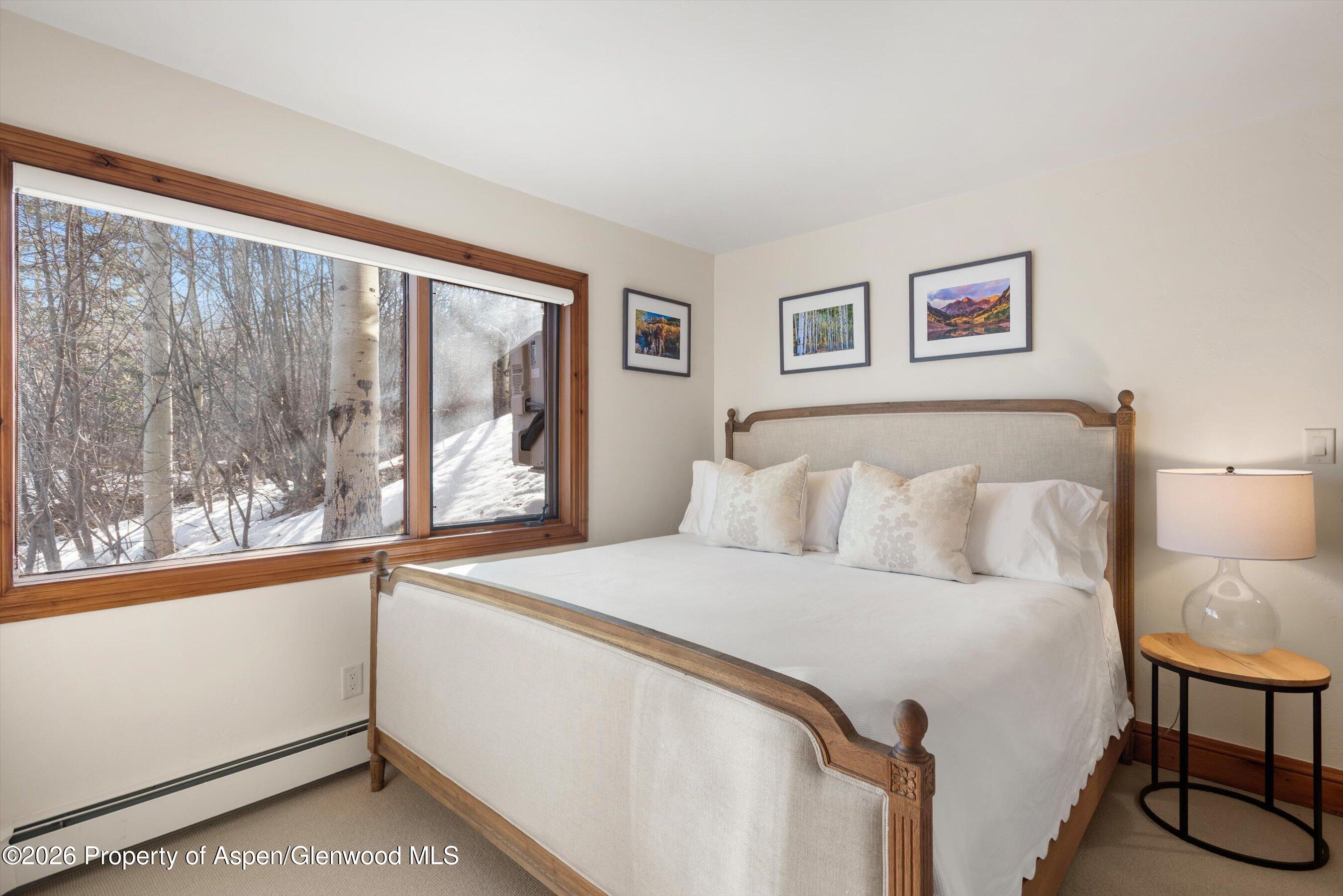 364 Ridge Road Snowmass Village, CO 81615 - Photo 29 of 57 36-364RidgeRd_03172026_001