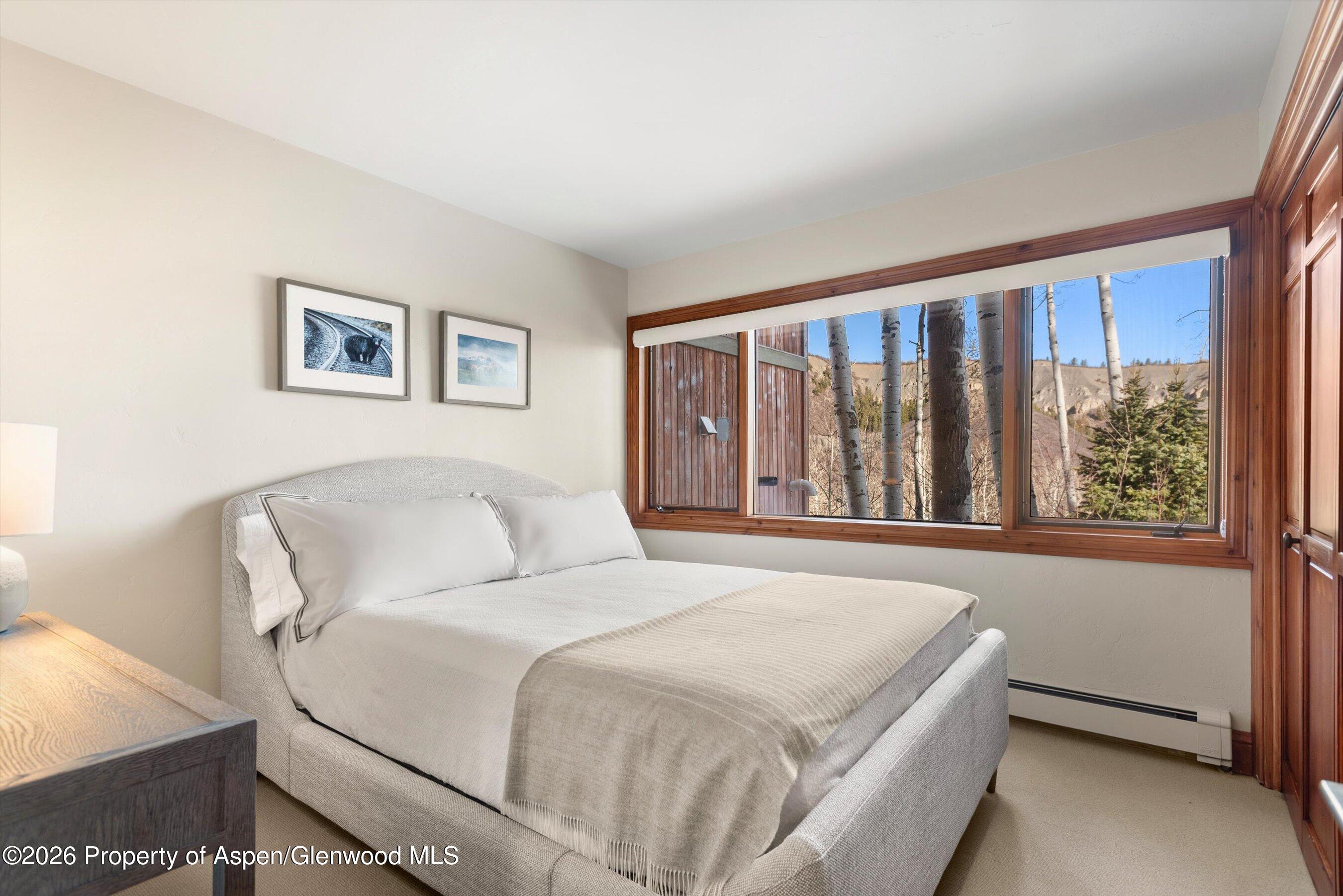 364 Ridge Road Snowmass Village, CO 81615 - Photo 31 of 57 37-364RidgeRd_03172026_003