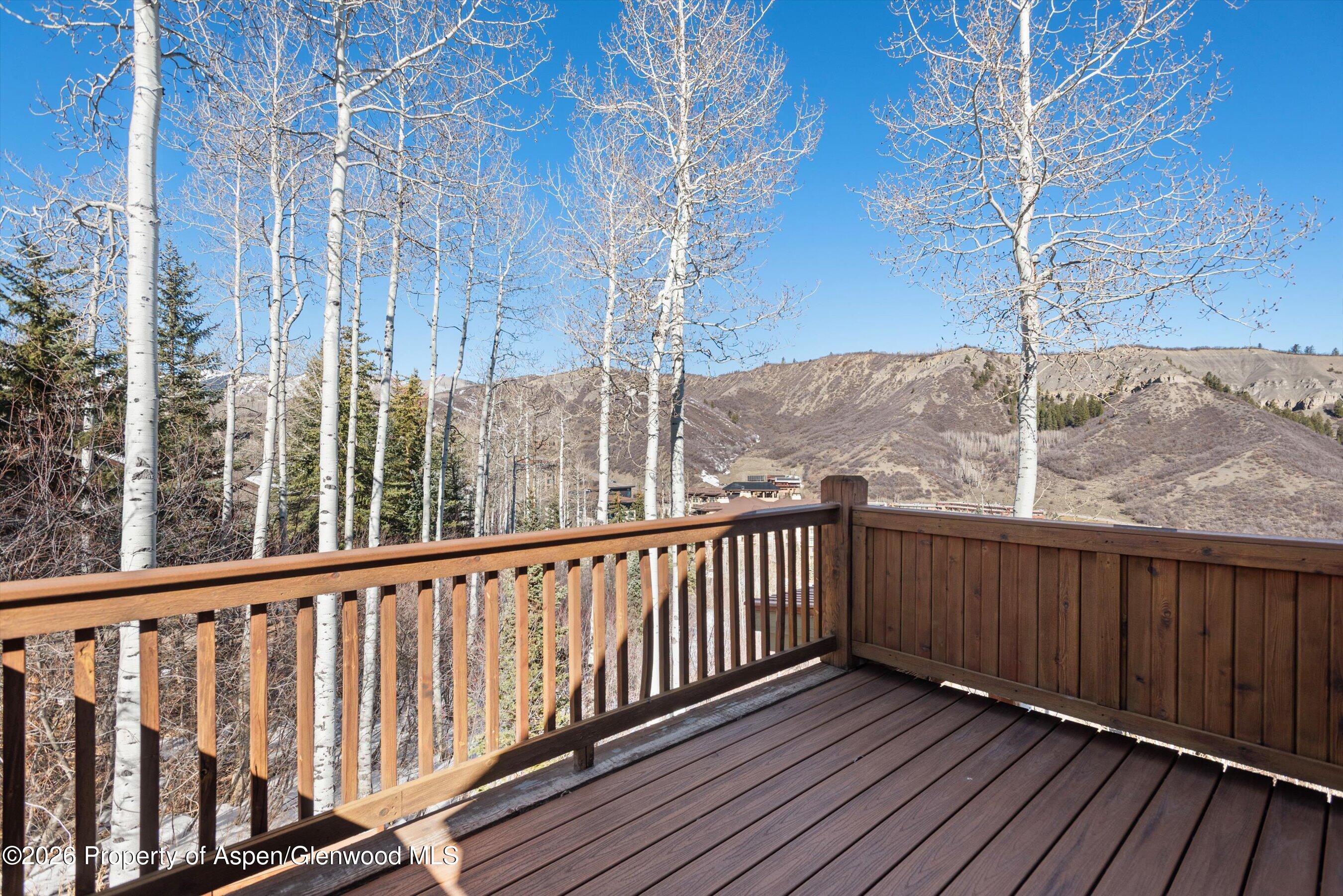 364 Ridge Road Snowmass Village, CO 81615 - Photo 48 of 57 46-364RidgeRd_03172026_031