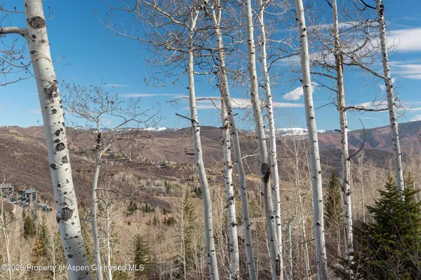 $55,000 | 364 Ridge Road, Snowmass Village, CO 81615