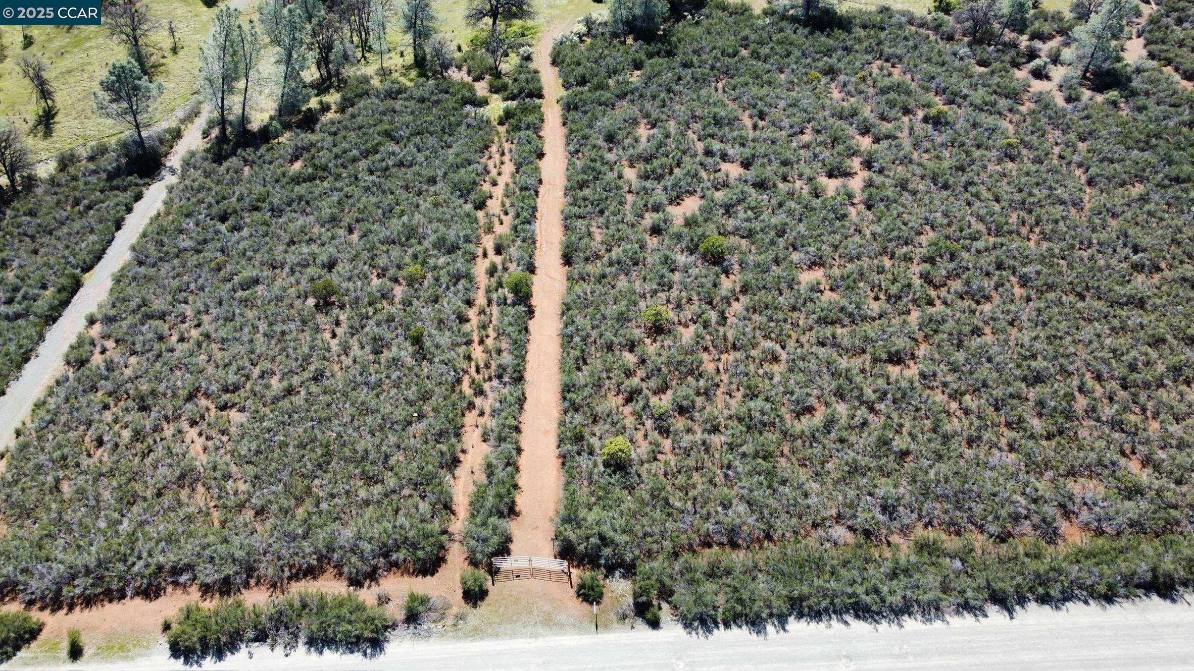 0 Lakeview Loop Stonyford, CA 95979 - Photo 1 of 1 a bathroom with a shower curtain