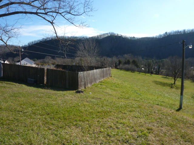 9700 Roanoke Road Elliston, VA 24087 - Photo 21 of 28 a view of a backyard