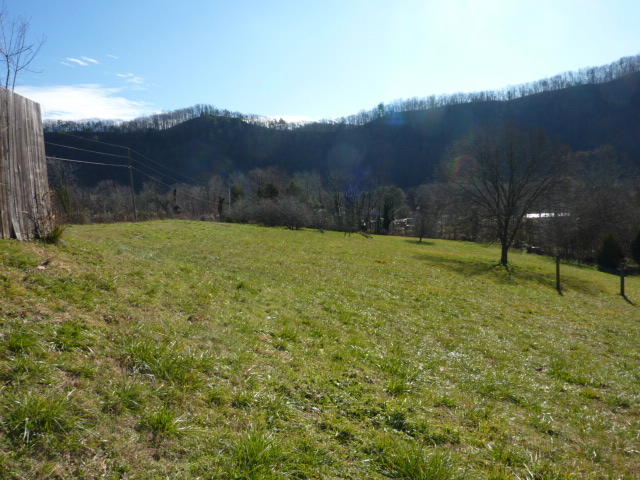 9700 Roanoke Road Elliston, VA 24087 - Photo 23 of 28 a view of an outdoor space and a yard