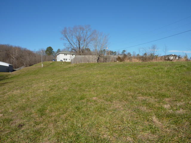 9700 Roanoke Road Elliston, VA 24087 - Photo 24 of 28 a view of a field with an tree and a wooden fence
