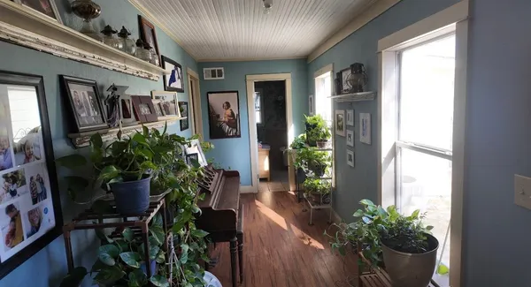 a potted plant sitting in front of a house