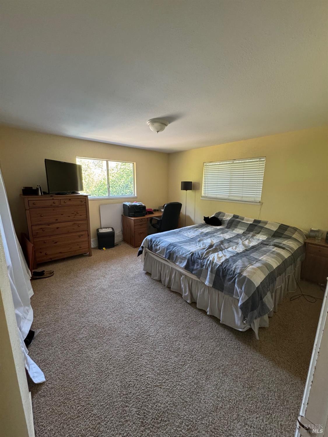 896 Sanitarium Road Deer Park, CA 94574 - Photo 13 of 20 a bedroom with bed and window