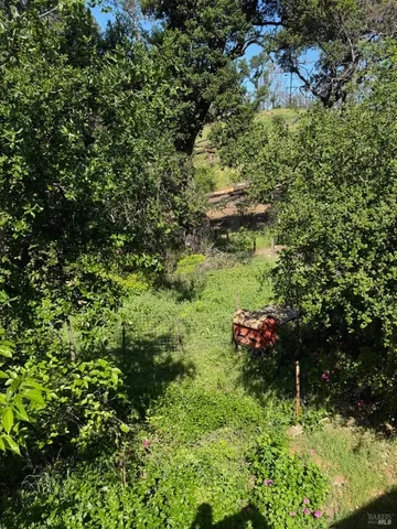 a view of outdoor space and a yard