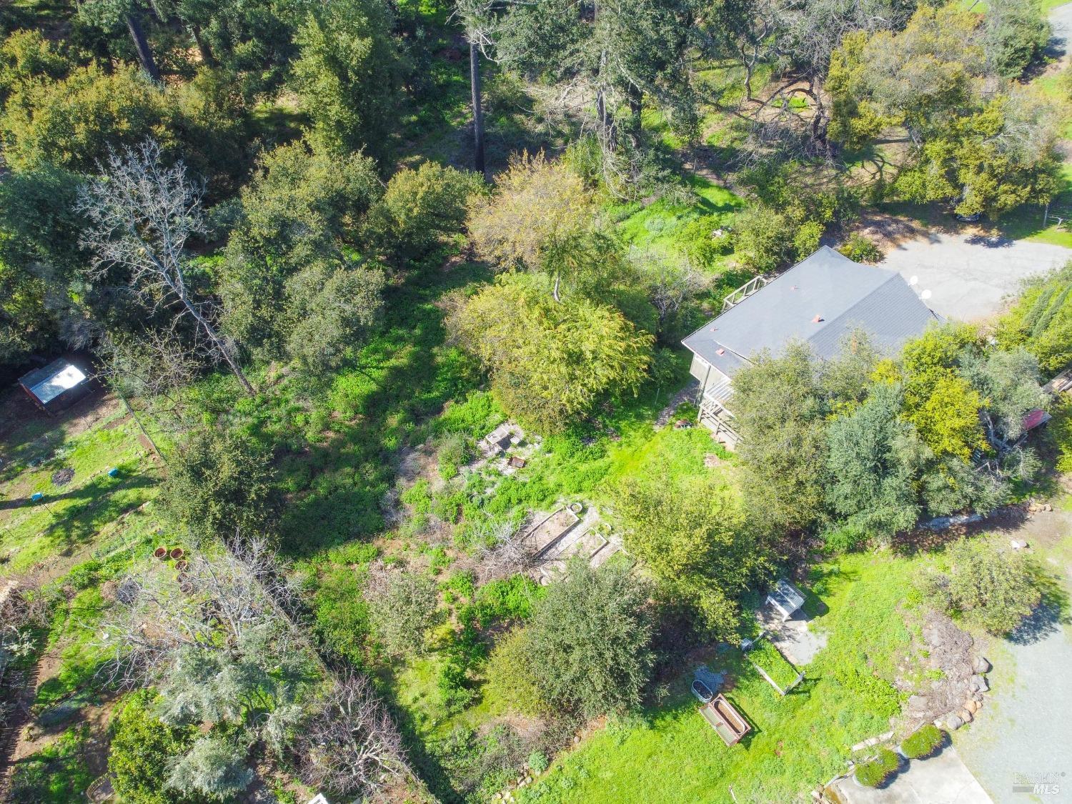896 Sanitarium Road Deer Park, CA 94574 - Photo 5 of 20 a view of a garden