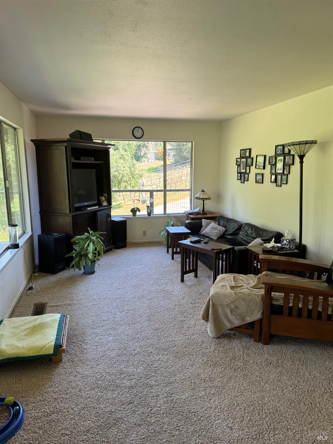 896 Sanitarium Road Deer Park, CA 94574 - Photo 8 of 20 a living room with furniture and a window
