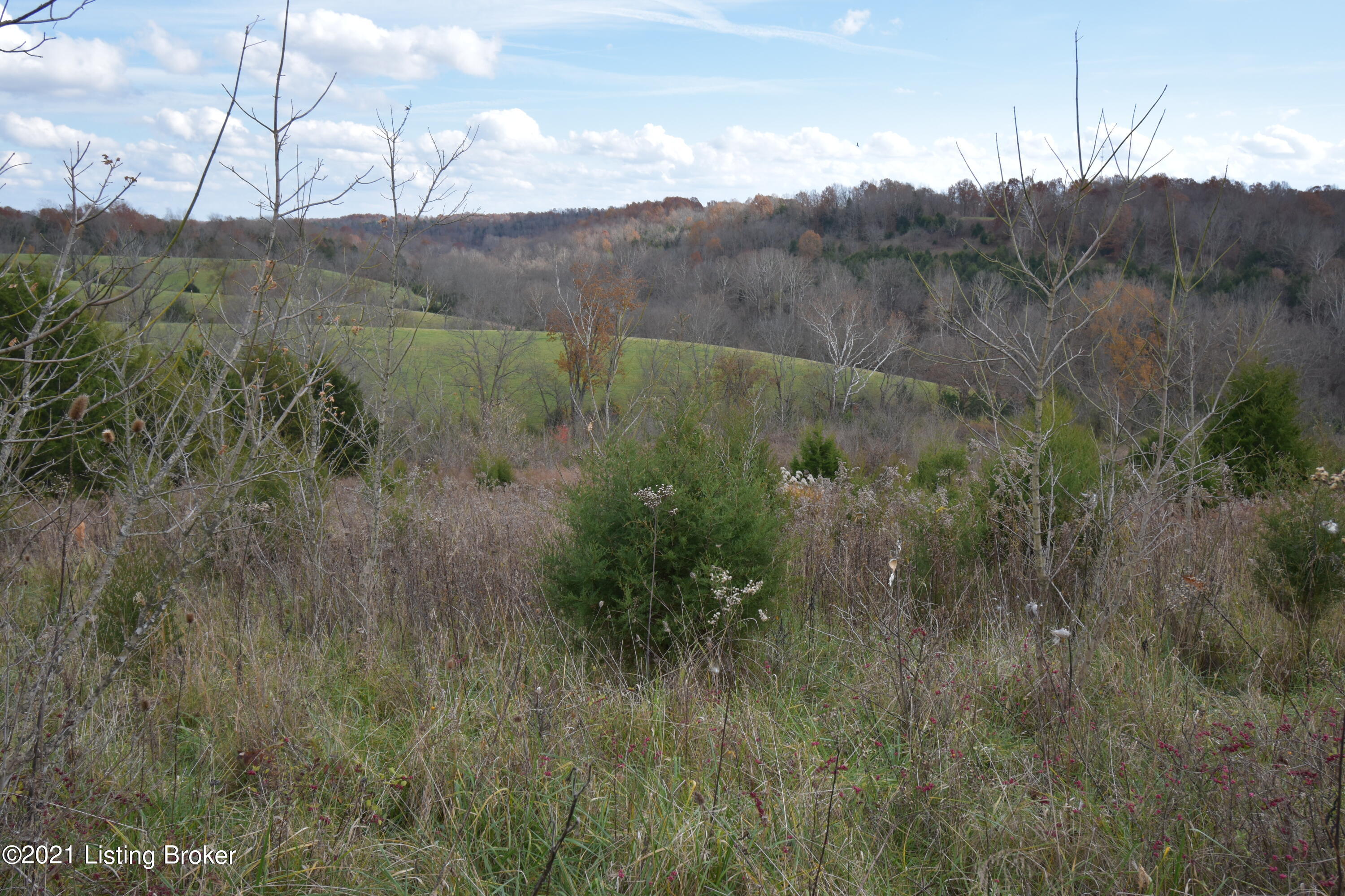 0 Prather Ridge Road Willisburg, KY 40078 - Photo 3 of 20 02