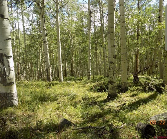 a view of outdoor space and green space